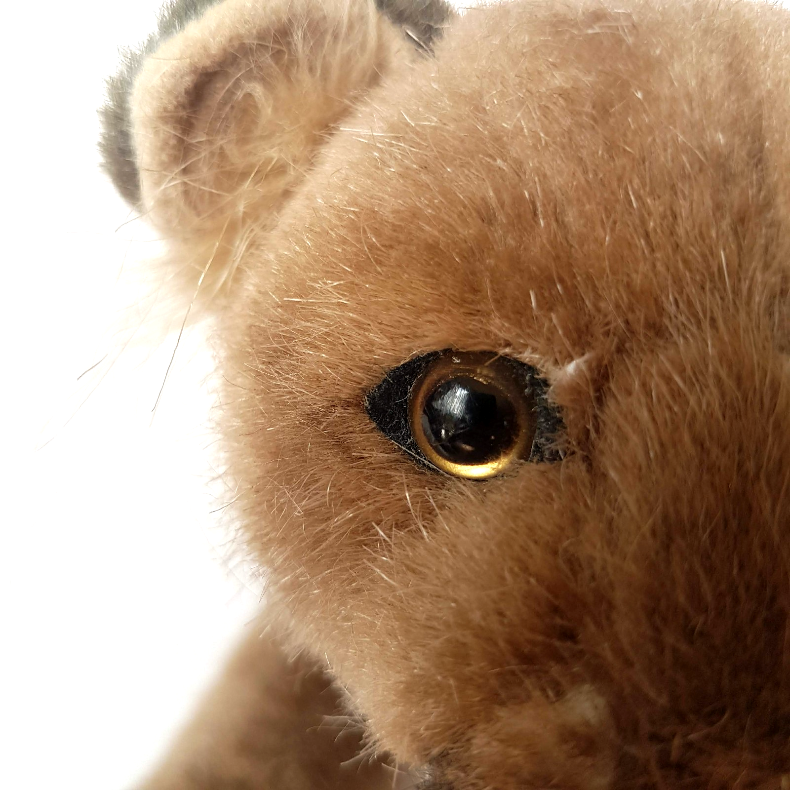 Hansa PUMA MOUNTAIN LION COUGAR Wild Cat Stuffed Animal Melbourne Zoo Soft Toy17
