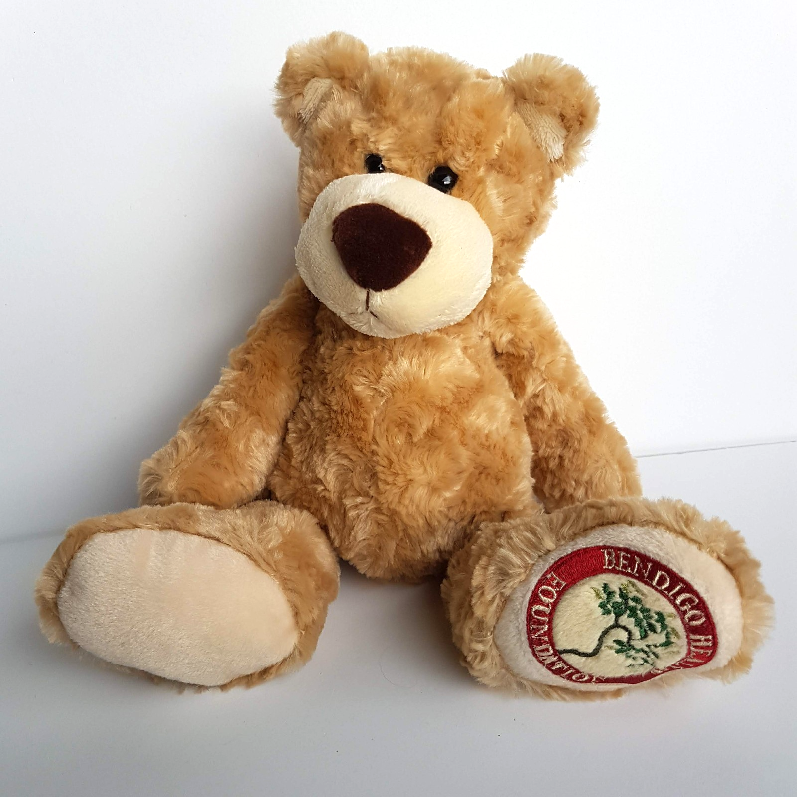 Tomfoolery BENDIGO HEALTH FOUNDATION Teddy Bear Plush Stuffed Animal Soft Toy2