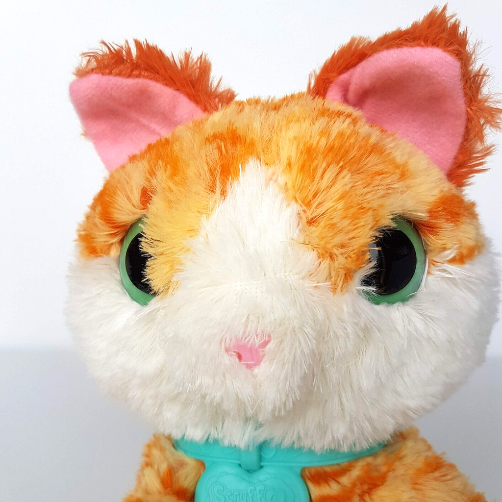 Scruff A Luvs GINGER CAT Collar Plush Orange White Stuffed Animal Soft Toy Moose1