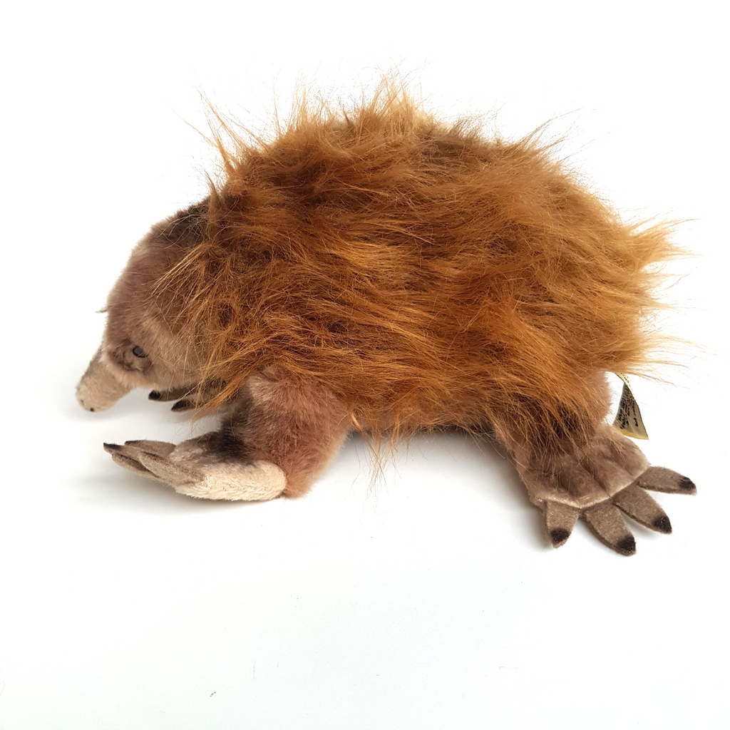 Bocchetta ECHIDNA ANT EATER Plush 25cm Stuffed Animal Soft Toy Australian Animal1