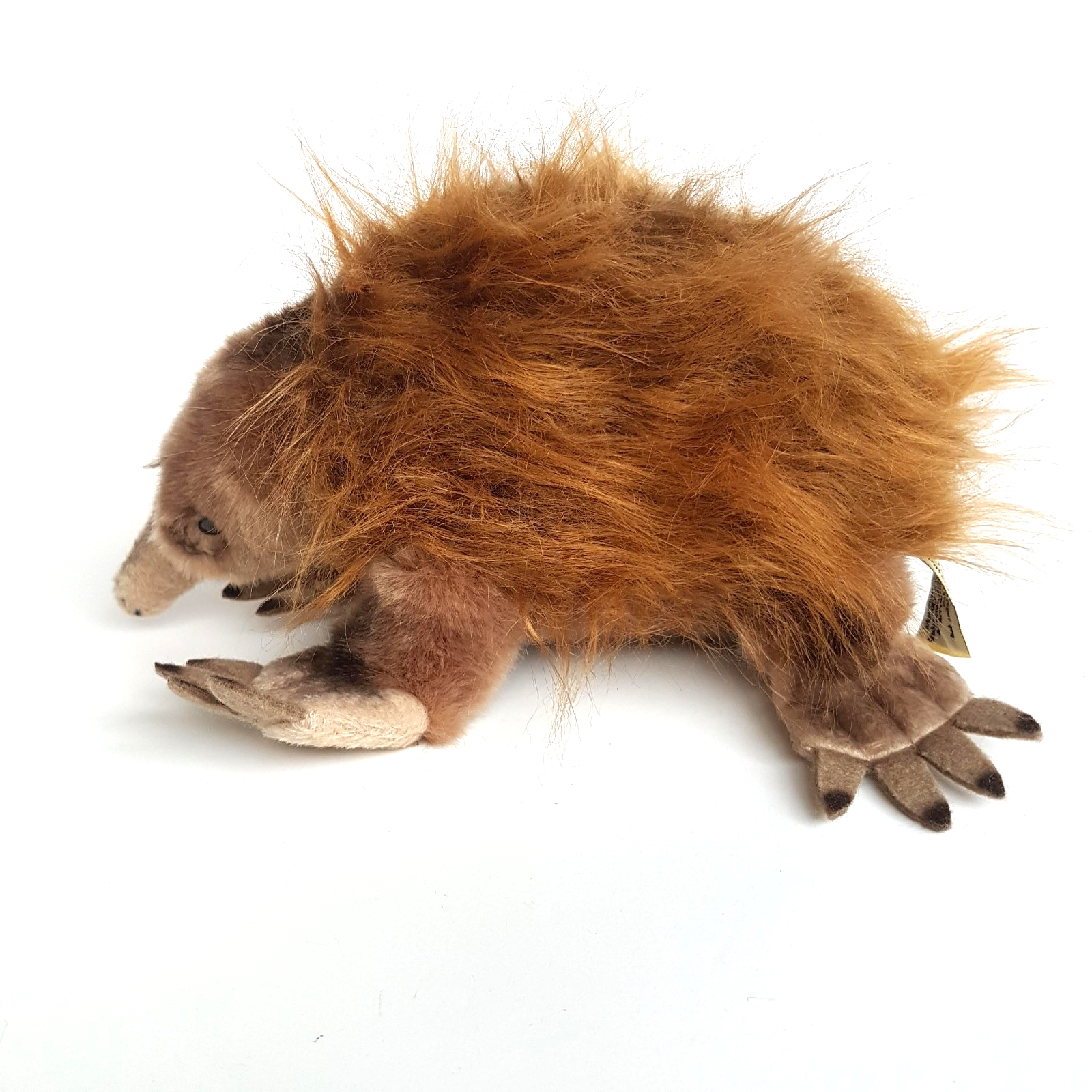 Bocchetta ECHIDNA ANT EATER Plush 25cm Stuffed Animal Soft Toy Australian Animal1