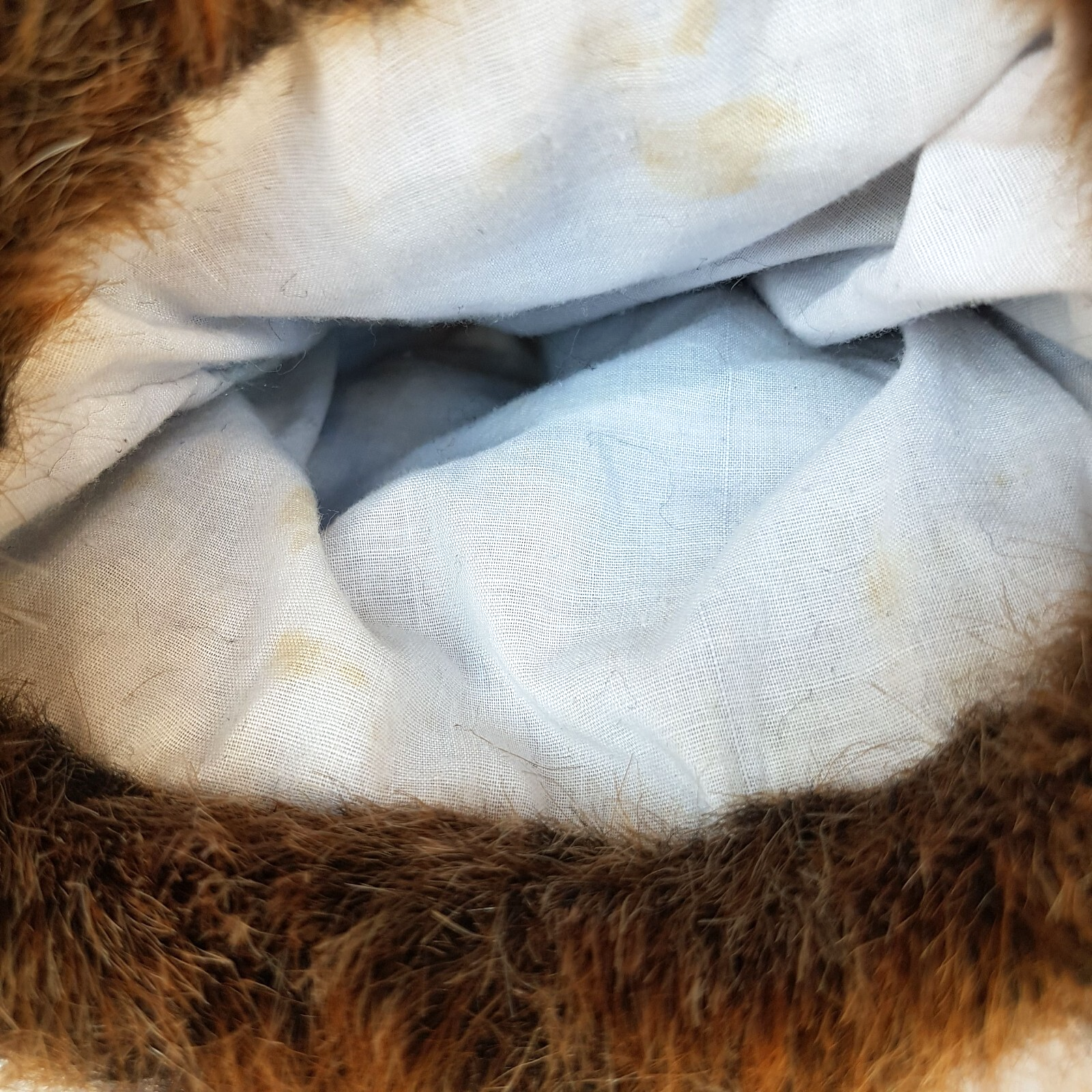 Chateau Whistler BEAVER GOLF CLUB COVER 35cm Soft Toy Cover Windsor Canada14