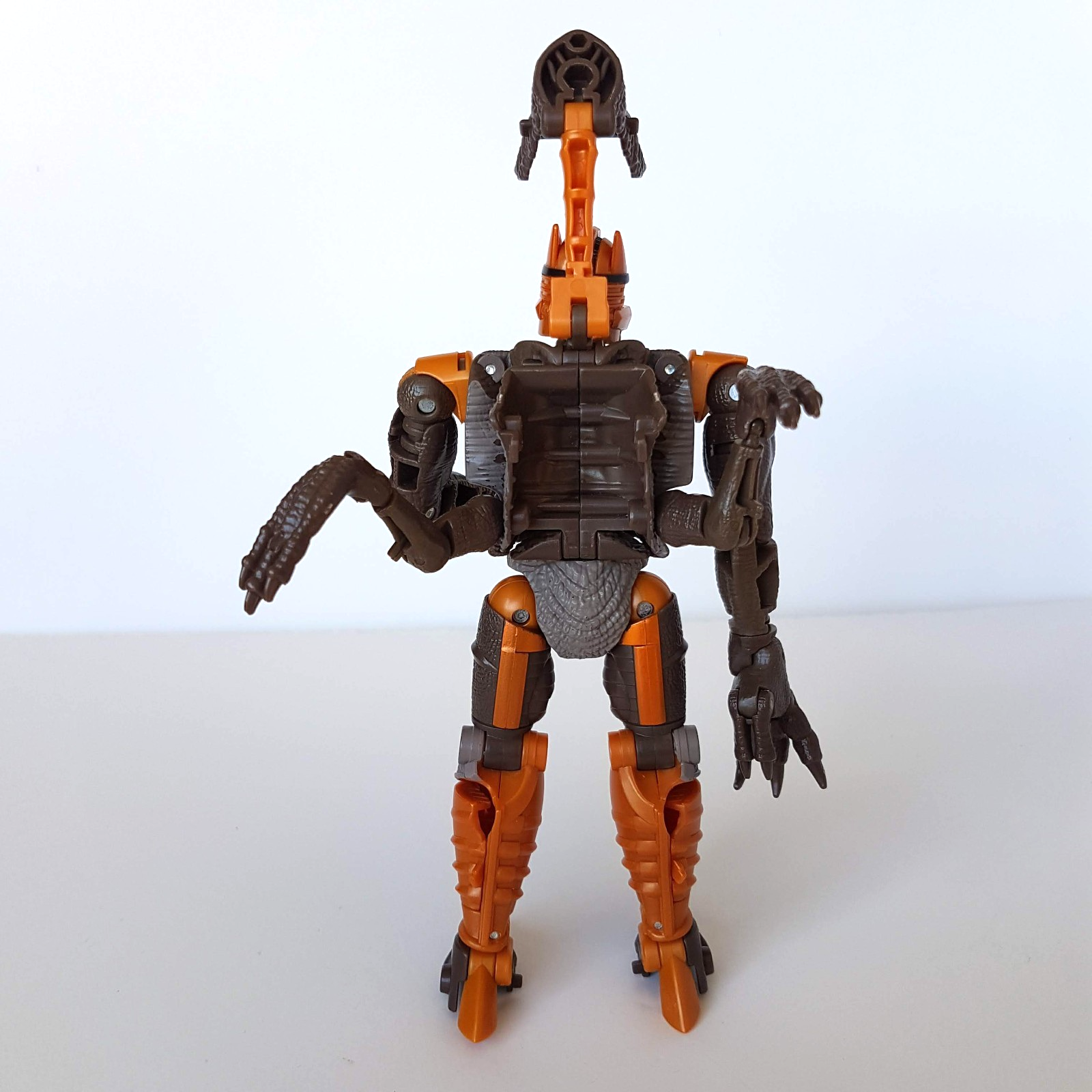 Transformers DINOBOT War For Cybertron Kingdom Dinosaur Figure Velociraptor Toy9