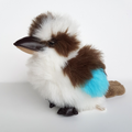 Harwil KOOKABURRA Plush Australian Bird NO SOUND Soft Toy 20cm Stuffed Animal0