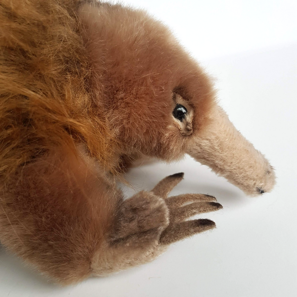 Bocchetta ECHIDNA ANT EATER Plush 25cm Stuffed Animal Soft Toy Australian Animal5