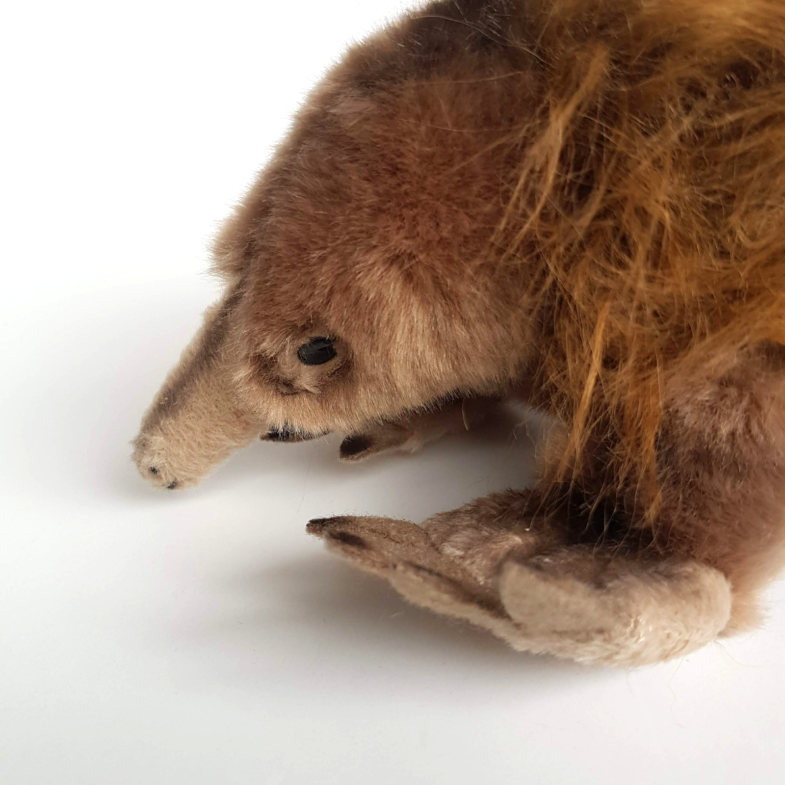Bocchetta ECHIDNA ANT EATER Plush 25cm Stuffed Animal Soft Toy Australian Animal6