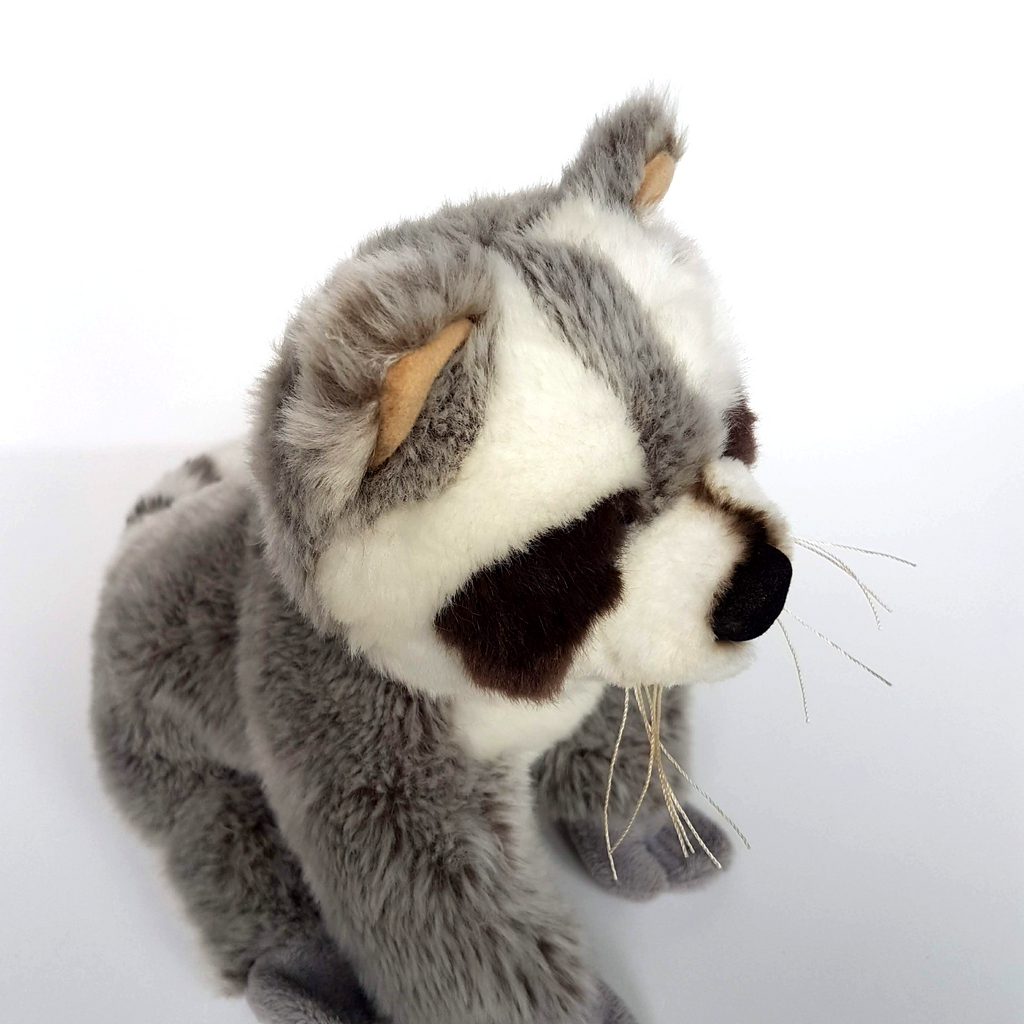 Cashbox Amusements RACCOON Plush 24cm tall Soft Toy Wild Stuffed Animal Cuddly9