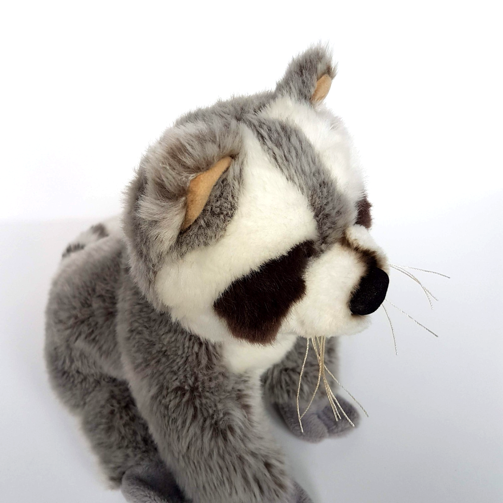 Cashbox Amusements RACCOON Plush 24cm tall Soft Toy Wild Stuffed Animal Cuddly9