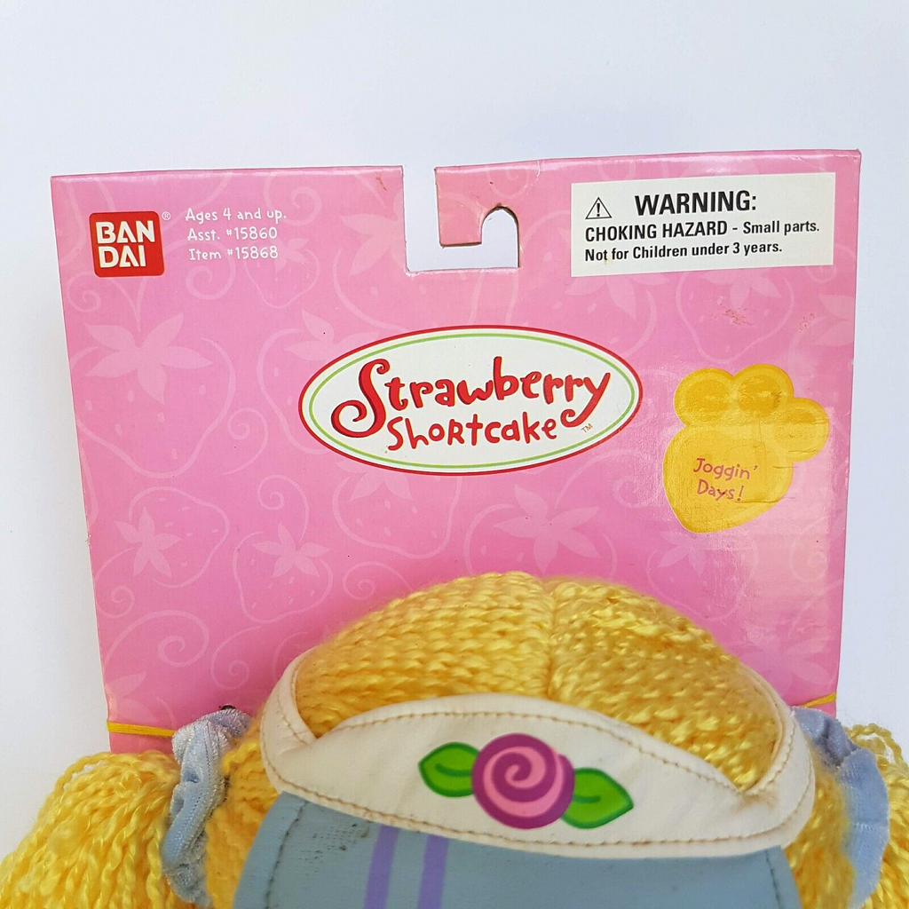 STRAWBERRY SHORTCAKE Berry Soft Friends Joggin' Days Angel Cake Rag Doll BOXED5