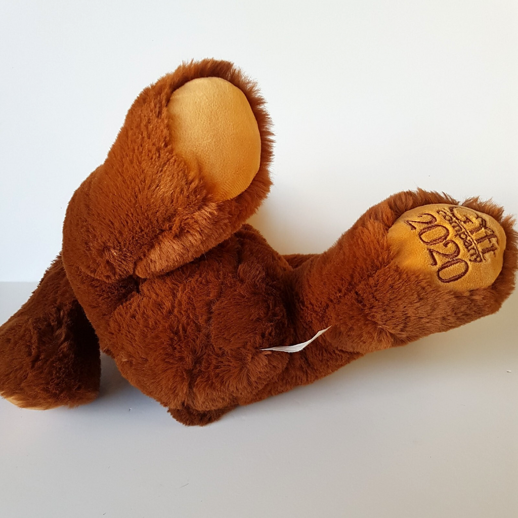 Chocolate Brown TEDDY BEAR Plush Cuddly 40cm Funny Stuffed Animal Soft Toy Cute9
