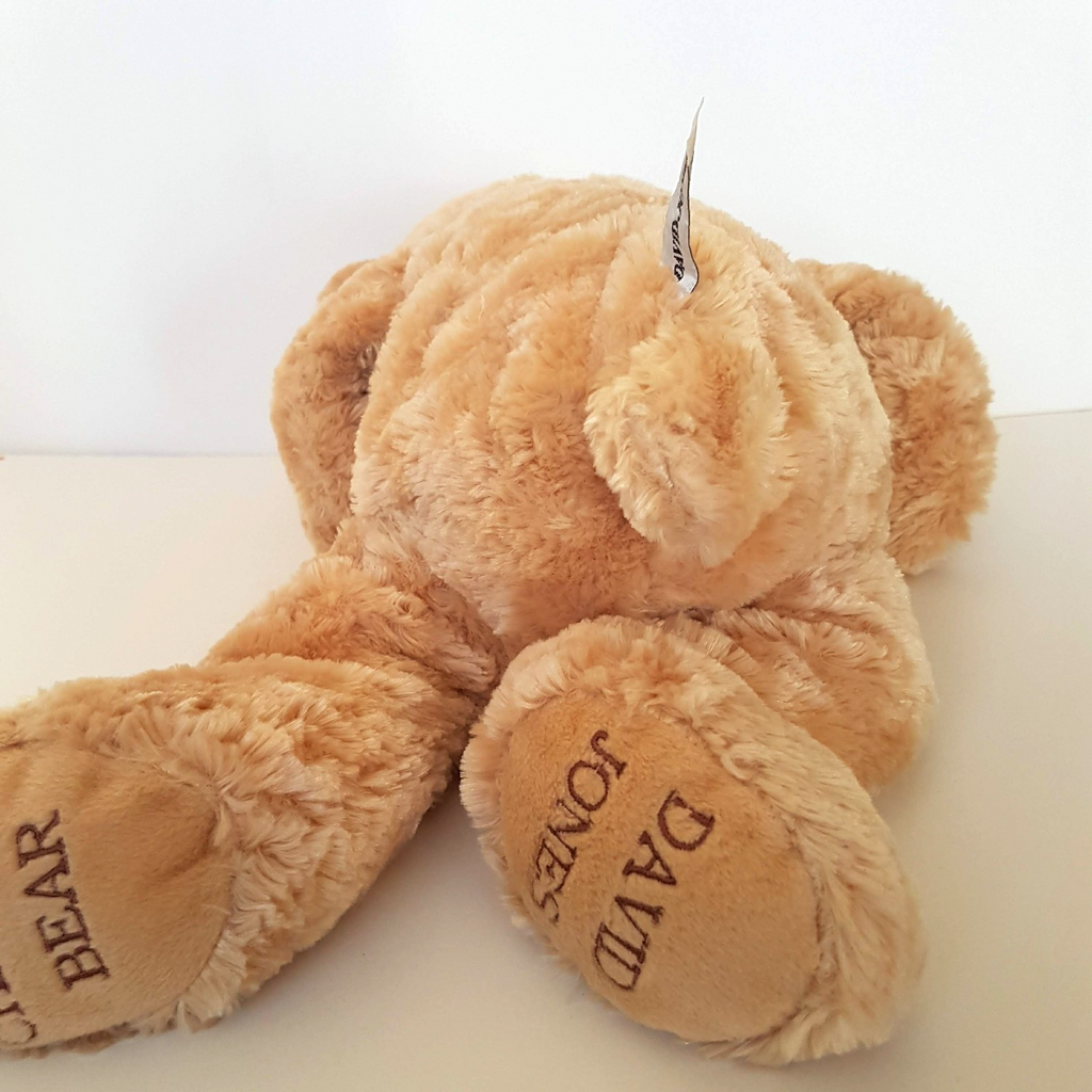 David Jones Large CHARITY BEAR Plush Floppy Teddy 44cm Soft Toy Stuffed Animal11