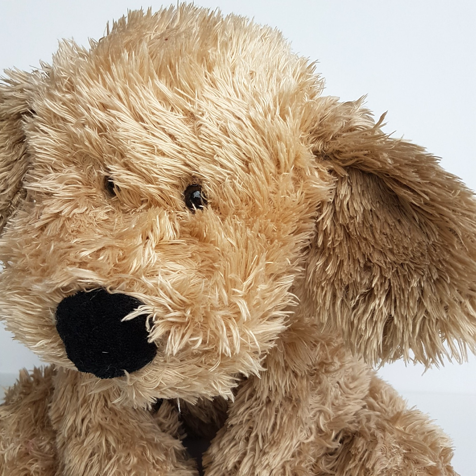 Teddy & Friends SCRUFFY DOG Floppy ADOPT ME 38cm Plush Stuffed Animal Soft Toy2