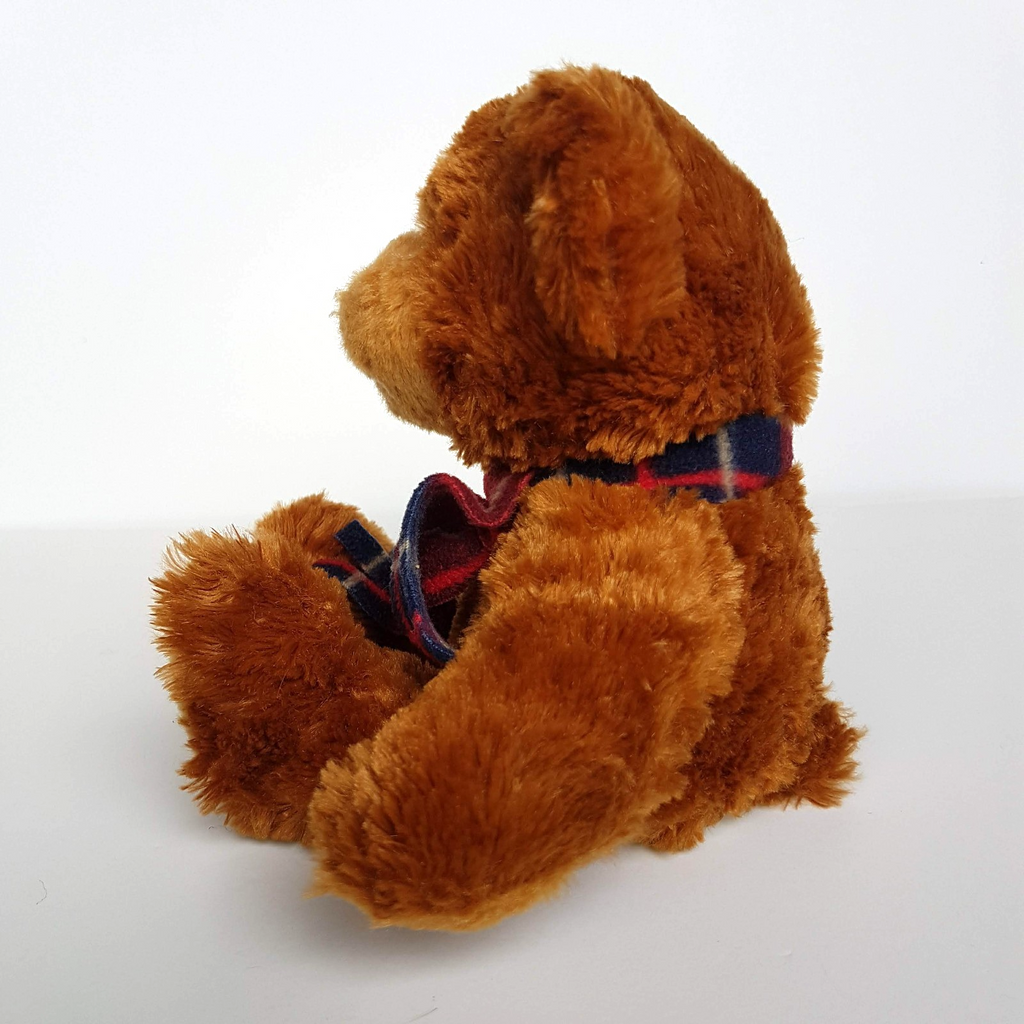 Tomfoolery DARE TO CARE HENRY Teddy Bear CentaCare 25cm Soft Toy Stuffed Animal3