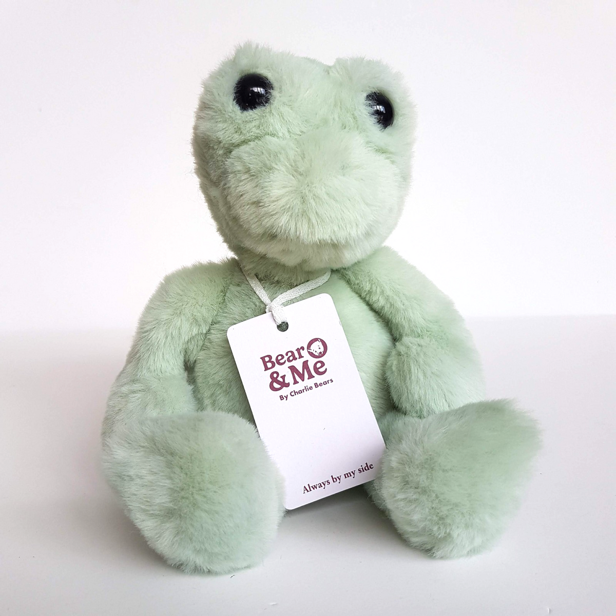 Charlie Bears FREDDY FROG 25cm Soft Plush Stuffed Animal TAGS M Peppermint Green0