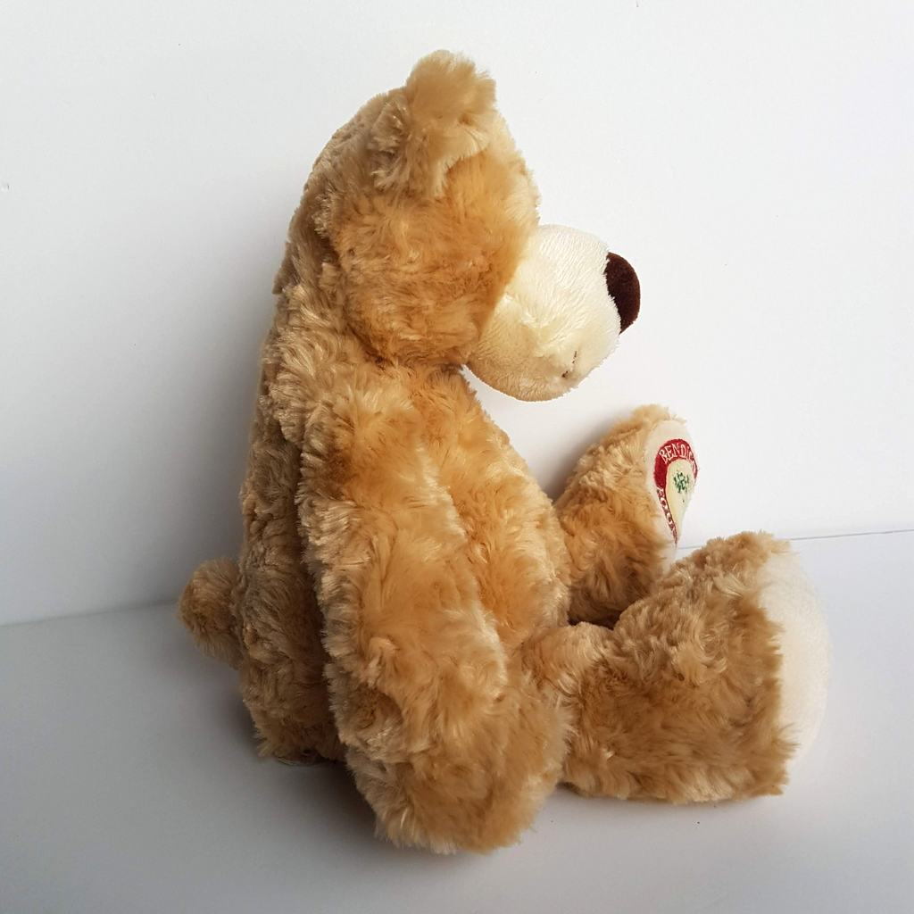 Tomfoolery BENDIGO HEALTH FOUNDATION Teddy Bear Plush Stuffed Animal Soft Toy9